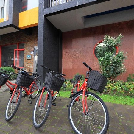 花蓮亮君經典民宿1館加2館民宿-東大門夜市-電梯包棟bright King Homestay เมืองฮวาเหลียน ภายนอก รูปภาพ